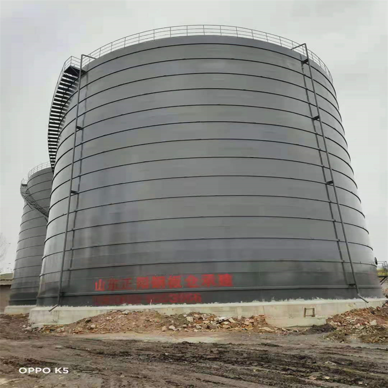 札达3万吨大型钢板库