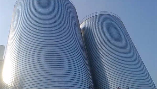 札达2座混凝土高架卷板仓